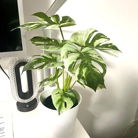 Modern Urban S-bahn 27qm For 6 Persons Mercedes-benz アパート *