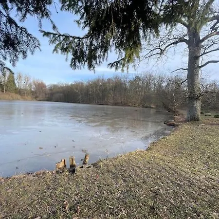 アパート Modern Urban S-bahn 27qm For 6 Persons Mercedes-benz *